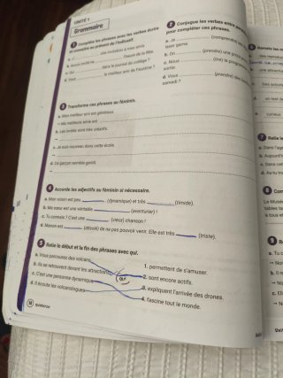 Libro francés actividades