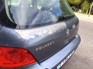 Peugeot 307 Gris