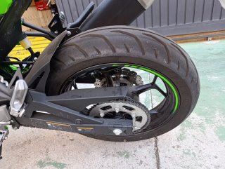 Kawasaki Ninja 125 Verde