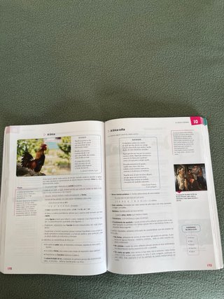 LINGUA E LITERATURA I