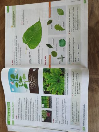 CIENCIAS DA NATUREZA 3 (COMUNIDADE ZOOM)