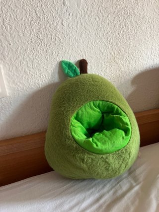 Peluche Capibara en Aguacate