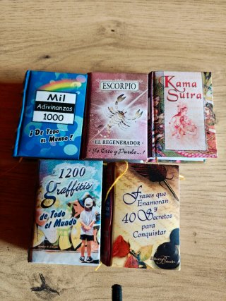 Pack de 5 mini libros