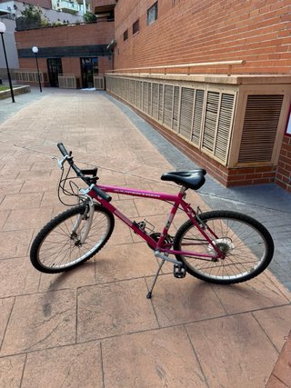 Bicicleta de montaña