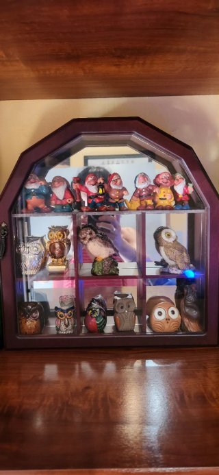 Colección de Buhos Decorativos
