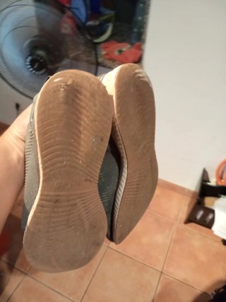 Deportivas Skechers Bobs Grises