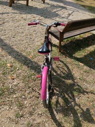 Bicicleta niña 20 pulgadas rosa y negra