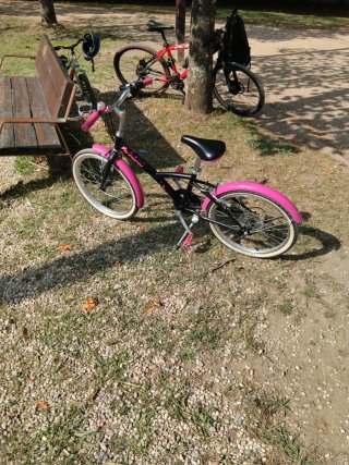 Bicicleta niña 20 pulgadas rosa y negra