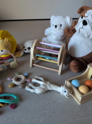 Lote Juguetes Bebé Peluches y Sonajeros