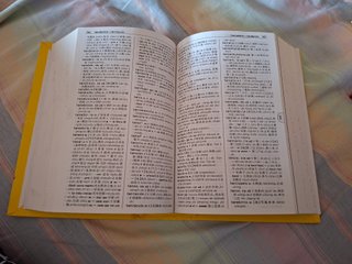 Manual Diccionario Español-Chino VOX