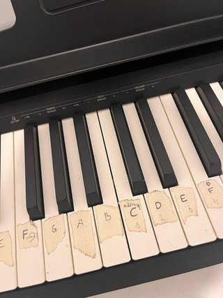 Roland FP-10 Piano Digital