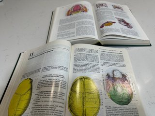 Libros anatomia