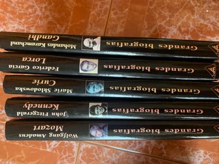 Lote de libros