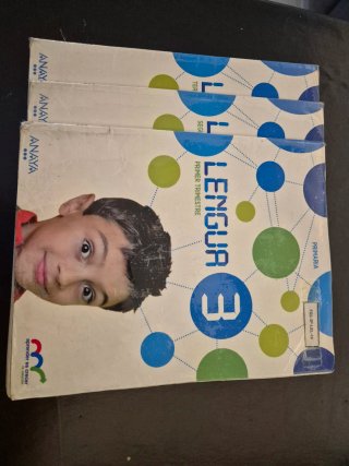 Lengua 3 Primaria.