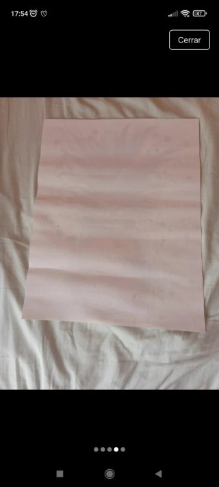 Cuadro Piña Decorativa