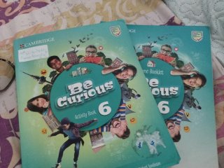 Be Curious Level 6 Home Booklet