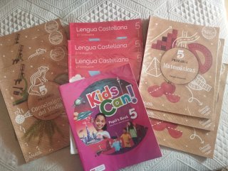 Lote de libros de texto de 5° de Primaria.