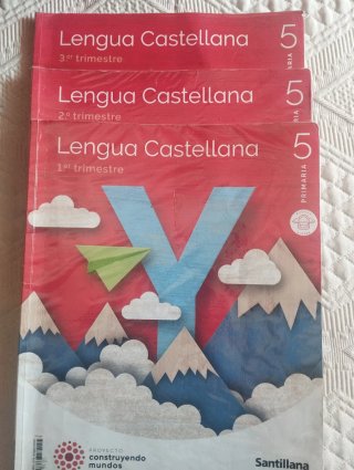 Lote de libros de texto de 5° de Primaria.