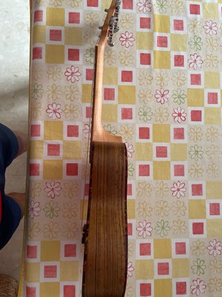 Ukelele Kunde con funda