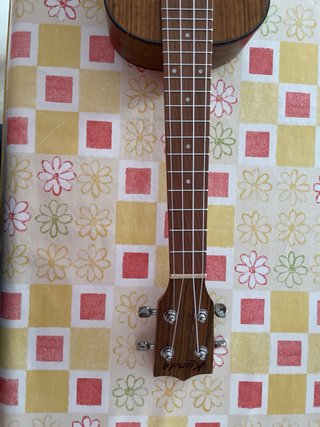 Ukelele Kunde con funda