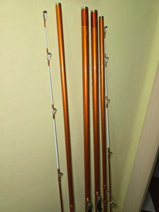 Pareja Cañas Daiwa Cast'izm 33 425H