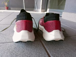Sportiva Prodigio Pro Zapatillas Running
