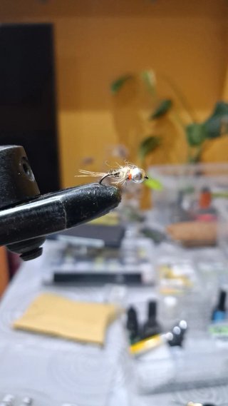 Ninfas y Perdigones Pesca Mosca