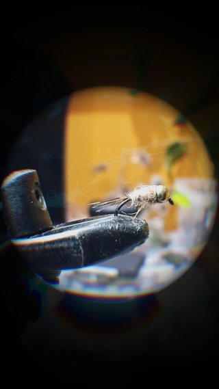 Ninfas y Perdigones Pesca Mosca