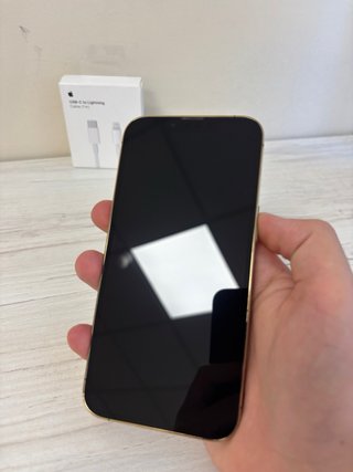 iPhone 13 Pro Plata + Cable USB-C a Lightning