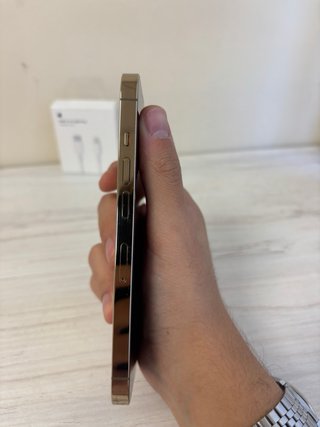 iPhone 13 Pro Plata + Cable USB-C a Lightning