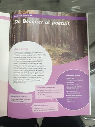 Libro Itinerarios de lectura 4 ESO Santillana