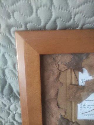 Marco de madera con hojas y láminas