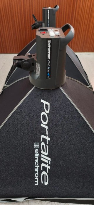 Pack 2 Flashes Elinchrom D-Lite 4 + Disparador