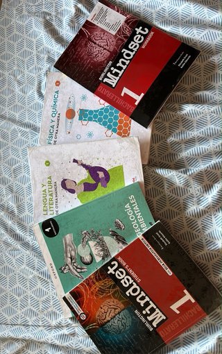 LENGUA Y LITERATURA 1