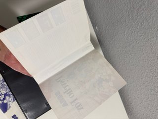 Psycho Fox Master System Sega