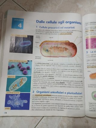 Libro di scienze 1 media