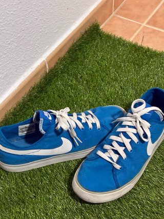 Zapatillas Nike Casual Azul y Blanco