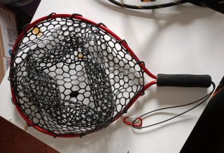Sacadera de pesca roja de mango corto