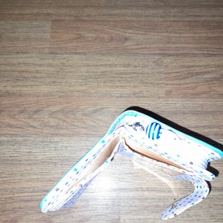 CARTERA PEQUEÑA
