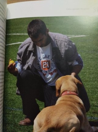 Adiestra a tu perro en positivo (+DVD)