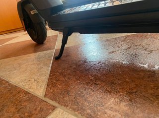 Patinete Eléctrico NIU KQi1 Pro