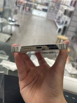 iPhone 13 Pro Max 1TB Plata