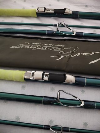 Pareja de Cañas Daiwa Land Caster 33 Tubular