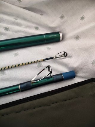 Pareja de Cañas Daiwa Land Caster 33 Tubular