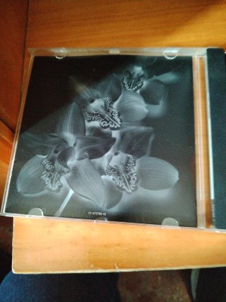 CD Gloria Estefan Mi Tierra Latino