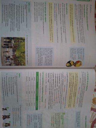 Lengua castellana y literatura 1Eso