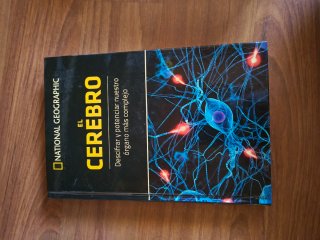 El cerebro