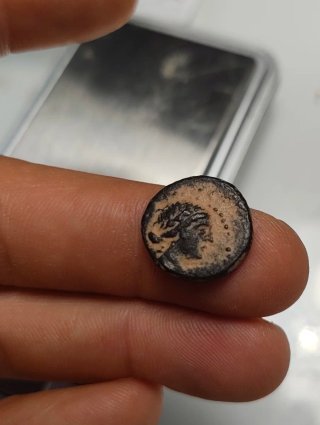 Moneda Griega Antigua Pamphylia Side