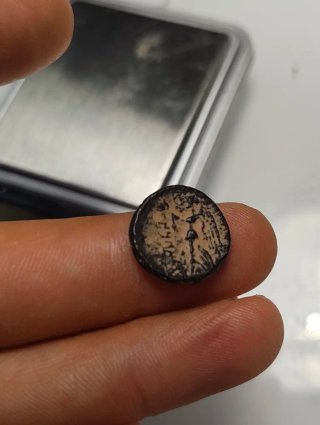 Moneda Griega Antigua Pamphylia Side