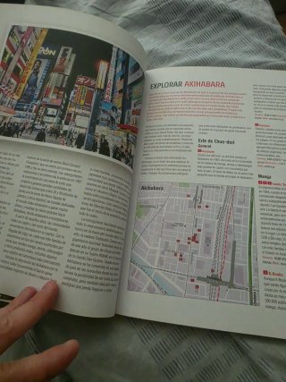Libro Japón Otaku